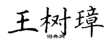 丁謙王樹璋楷書個性簽名怎么寫