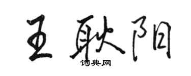 駱恆光王耿陽行書個性簽名怎么寫