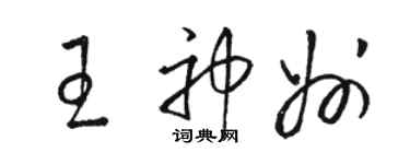 駱恆光王神州草書個性簽名怎么寫