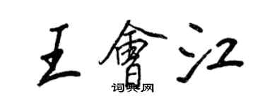 王正良王會江行書個性簽名怎么寫