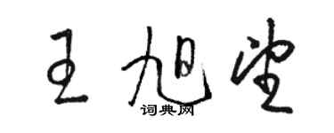 駱恆光王旭望草書個性簽名怎么寫