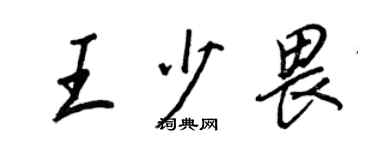 王正良王少畏行書個性簽名怎么寫