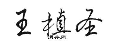 駱恆光王植聖行書個性簽名怎么寫