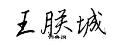 王正良王朕城行書個性簽名怎么寫