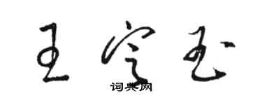 駱恆光王定玉草書個性簽名怎么寫