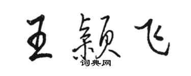 駱恆光王穎飛行書個性簽名怎么寫