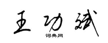 梁錦英王功斌草書個性簽名怎么寫