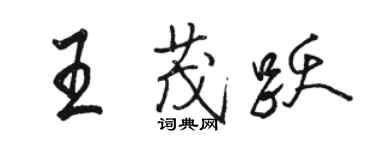 駱恆光王茂躍行書個性簽名怎么寫
