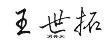 駱恆光王世拓行書個性簽名怎么寫