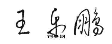 駱恆光王樂鵬草書個性簽名怎么寫