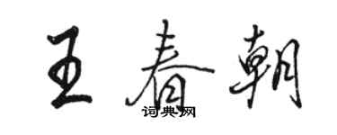 駱恆光王春朝行書個性簽名怎么寫