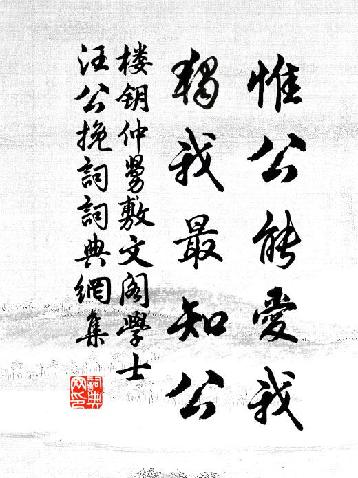 寸心積萬思，浪寄非久留 詩詞名句