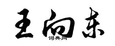 胡問遂王向東行書個性簽名怎么寫