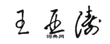 駱恆光王亞濤草書個性簽名怎么寫