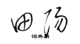 駱恆光田陽草書個性簽名怎么寫