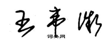 朱錫榮王韋微草書個性簽名怎么寫