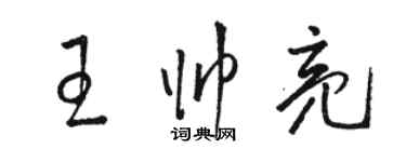 駱恆光王帥亮草書個性簽名怎么寫