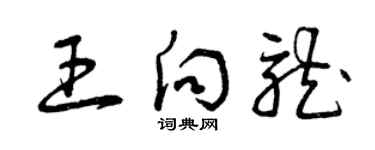 曾慶福王向龍草書個性簽名怎么寫