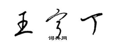 梁錦英王寧丁草書個性簽名怎么寫