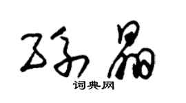 朱錫榮孫晶草書個性簽名怎么寫