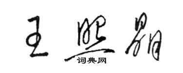 駱恆光王照晶草書個性簽名怎么寫