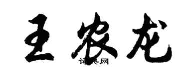 胡問遂王農龍行書個性簽名怎么寫