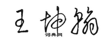 駱恆光王坤翰草書個性簽名怎么寫