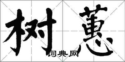 翁闓運樹蕙楷書怎么寫