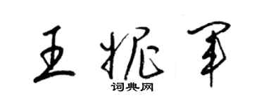 梁錦英王妮軍草書個性簽名怎么寫