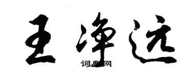 胡問遂王淨遠行書個性簽名怎么寫