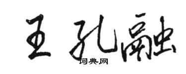 駱恆光王孔融行書個性簽名怎么寫
