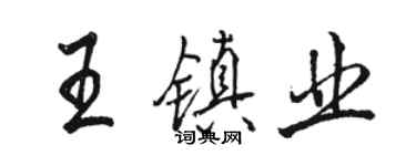 駱恆光王鎮業行書個性簽名怎么寫