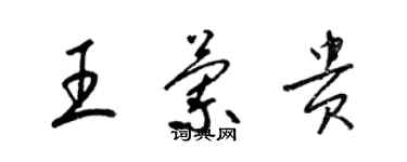 梁錦英王蘭貴草書個性簽名怎么寫