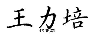 丁謙王力培楷書個性簽名怎么寫