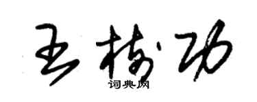 朱錫榮王樹功草書個性簽名怎么寫