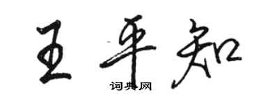 駱恆光王平知行書個性簽名怎么寫
