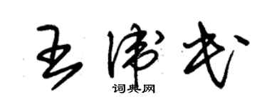 朱錫榮王衛民草書個性簽名怎么寫