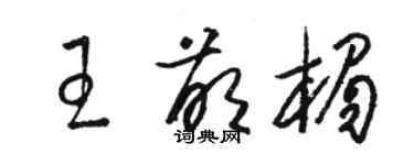 駱恆光王萌楣草書個性簽名怎么寫