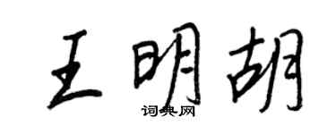 王正良王明胡行書個性簽名怎么寫