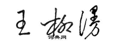 駱恆光王柳漫草書個性簽名怎么寫