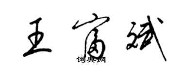 梁錦英王富斌草書個性簽名怎么寫