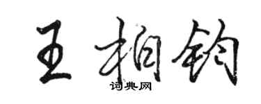 駱恆光王柏鈞行書個性簽名怎么寫