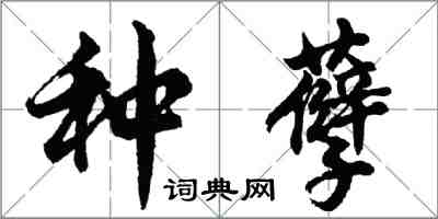 胡問遂種孽行書怎么寫