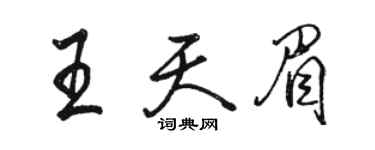 駱恆光王天眉行書個性簽名怎么寫