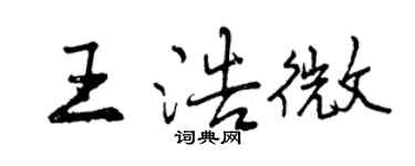 曾慶福王浩微行書個性簽名怎么寫