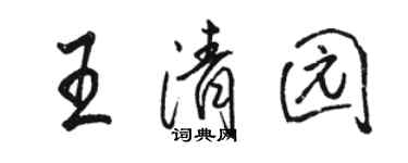 駱恆光王清園行書個性簽名怎么寫
