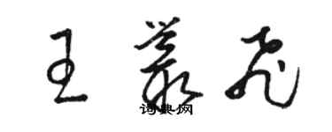 駱恆光王叢飛草書個性簽名怎么寫