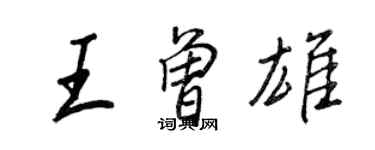 王正良王曾雄行書個性簽名怎么寫