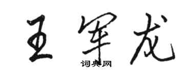 駱恆光王軍龍行書個性簽名怎么寫