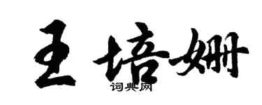 胡問遂王培姍行書個性簽名怎么寫
